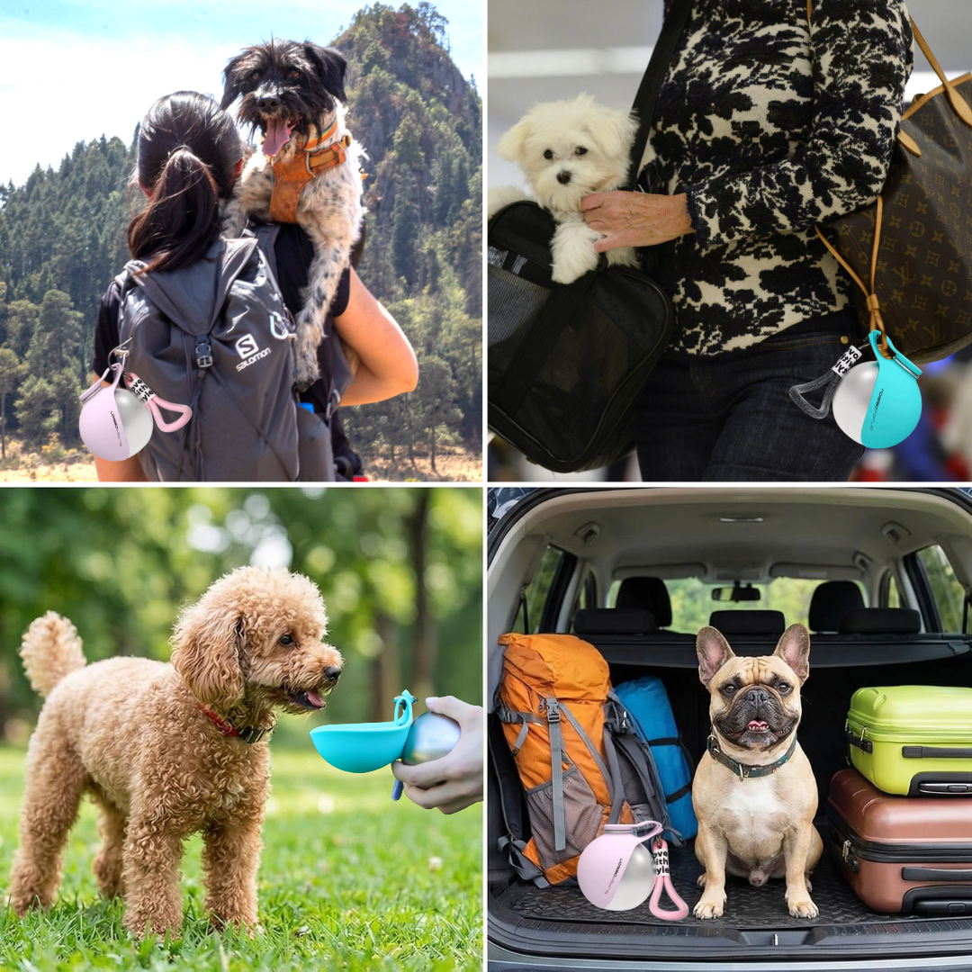 BuddyPup™ Borraccia per Cani con Ciotola
